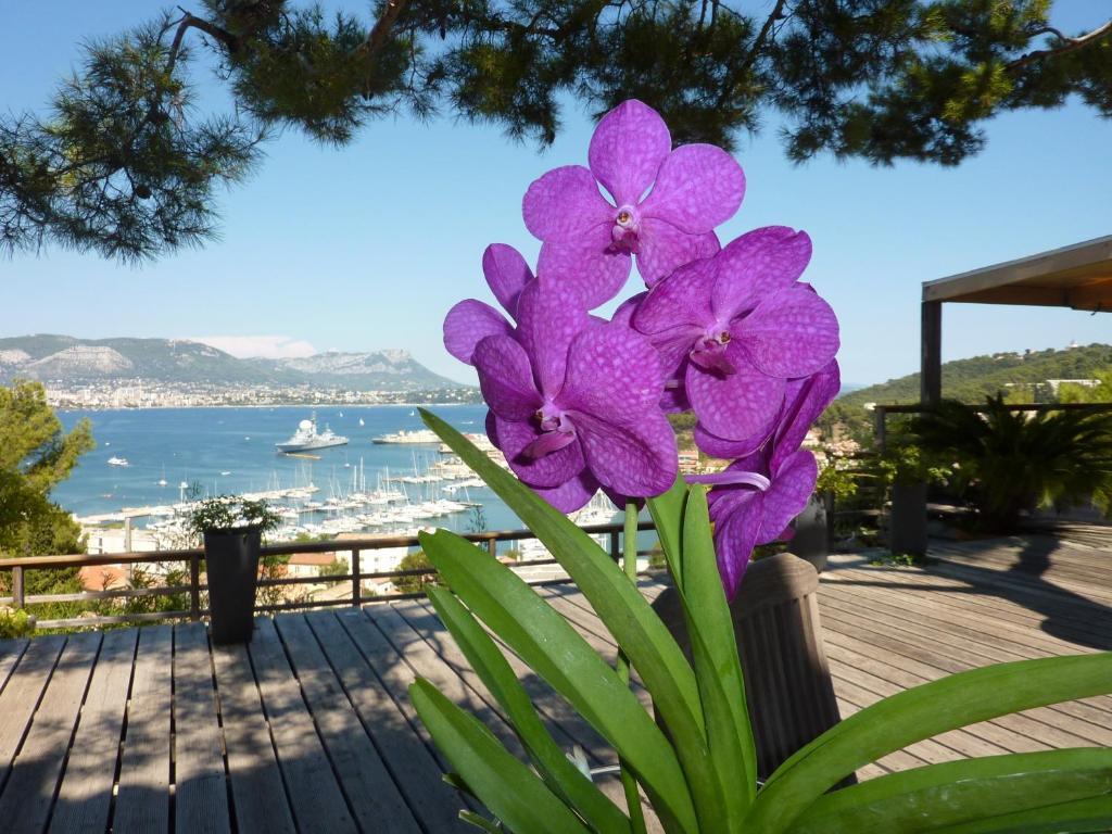 Home6 Saint-Mandrier-sur-Mer Exterior foto